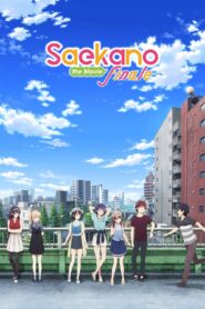 Watch Saekano the Movie: Finale Movie Online For Free